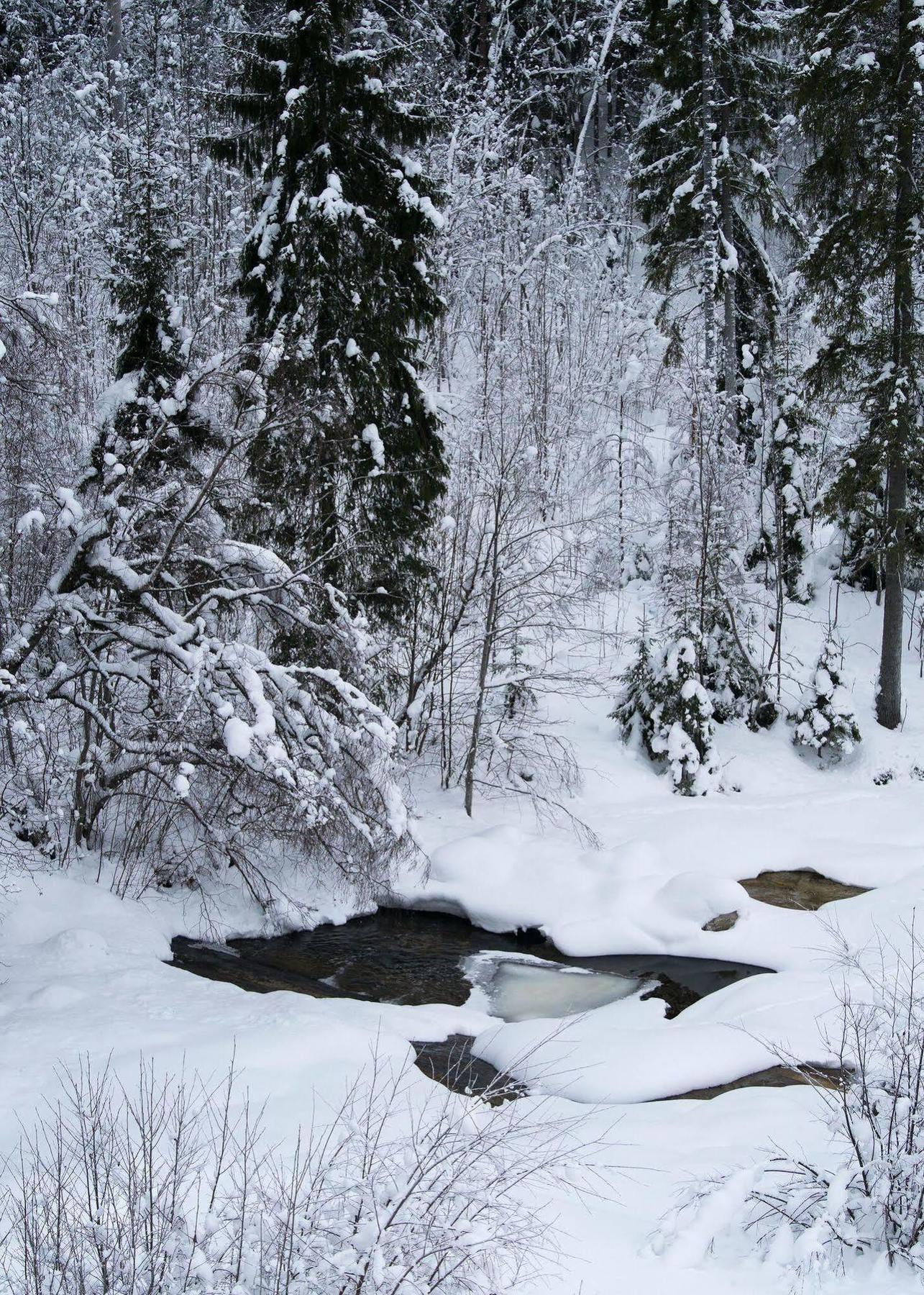 Отель Eggedal Borgerstue Экстерьер фото